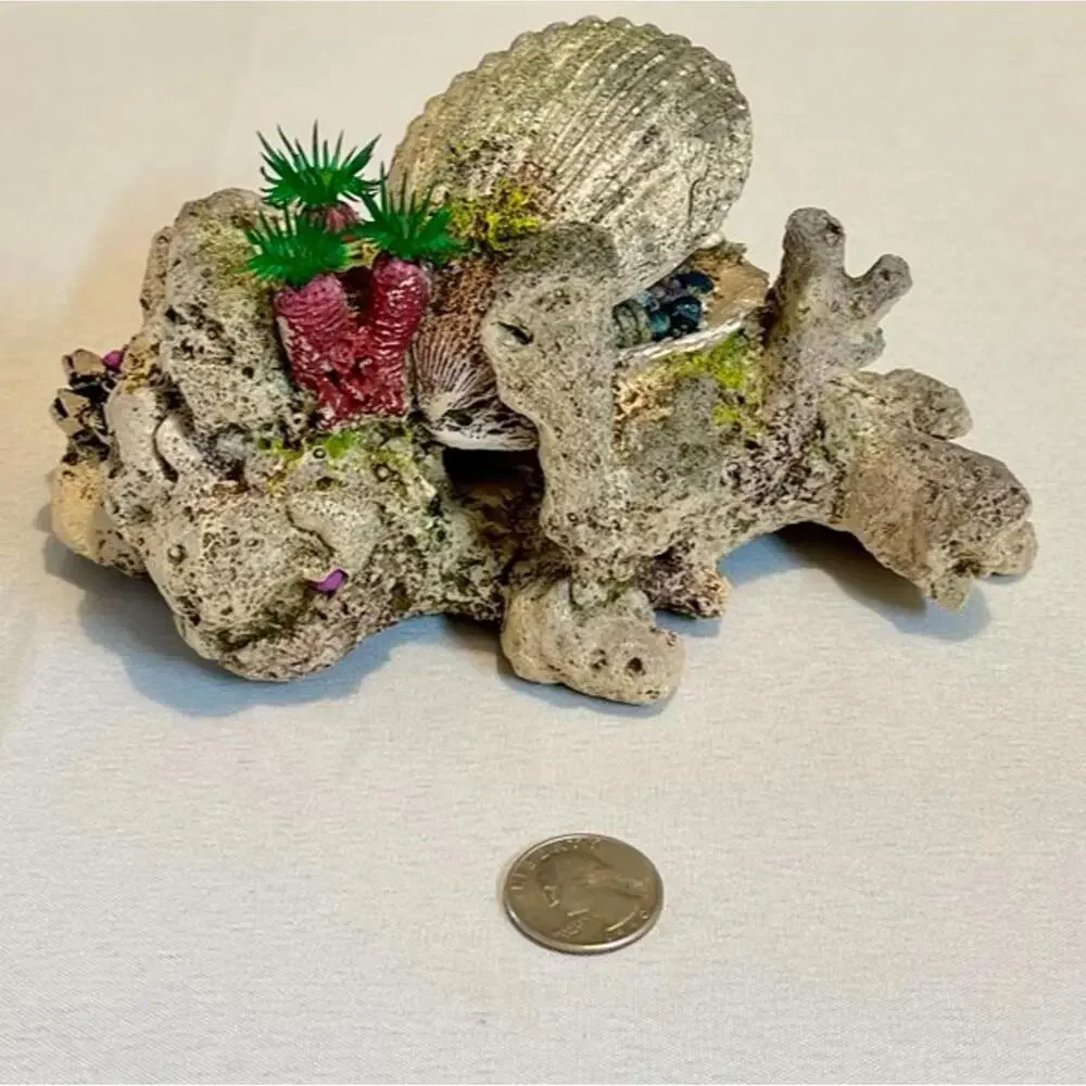 Top Fin Treasure Clam